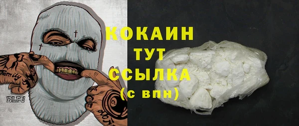 прущий лед Лагань