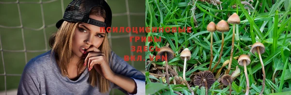 винт Лабытнанги