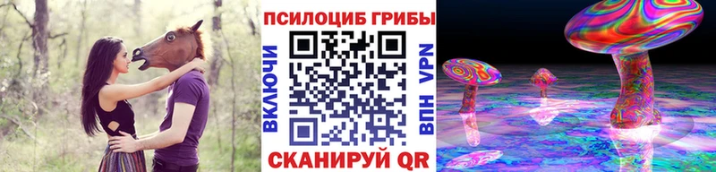 маркетплейс как зайти  Медвежьегорск  Псилоцибиновые грибы Psilocybe 
